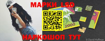 СК Кингисепп