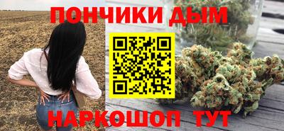 СК Кингисепп