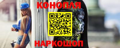 СК Кингисепп