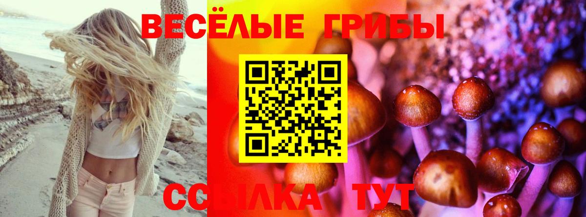 Улан-Удэ  Псилоцибиновые грибы прущие грибы  Вход с VPN 